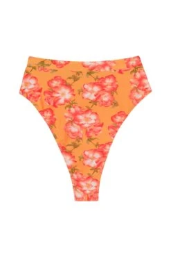 Riviera Bottom - Field Of Dreams